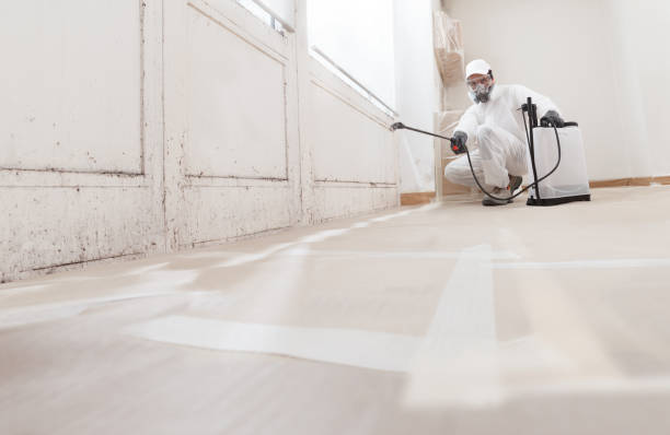24/7 Emergency Black Mold Remediation experts in North Bend, OR