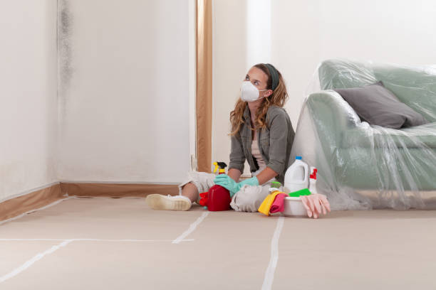 Reliable Black Mold Remediation contractor in North Bend, OR by Car Mold Remediation